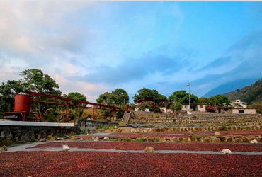 Guatemala