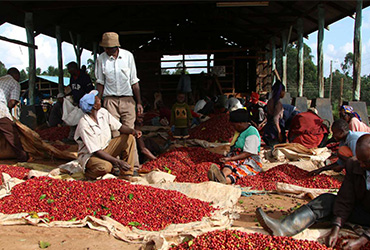 Kenya