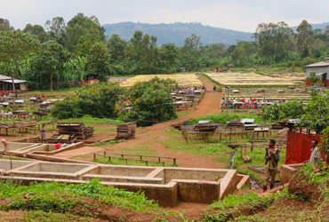 Etiyopya