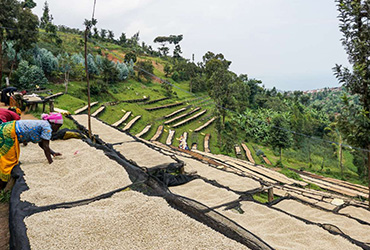 Ruanda