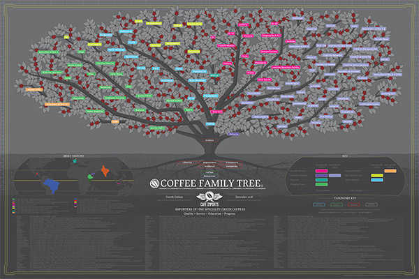 cafe-imports-kahve-aile-agaci