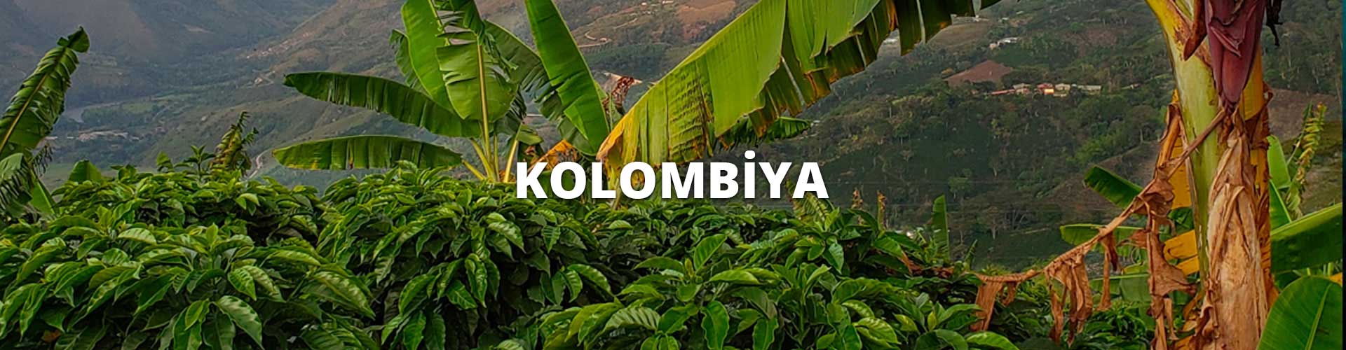 kolombiya-header