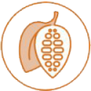Kakao Kavurma