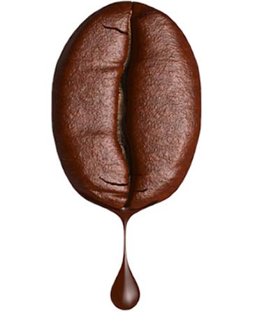 Anasayfa