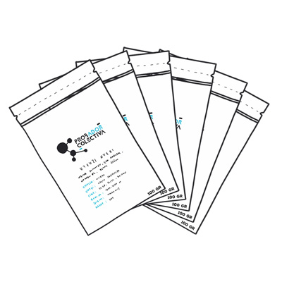 AMERICAN COFFEES SAMPLE SET 2